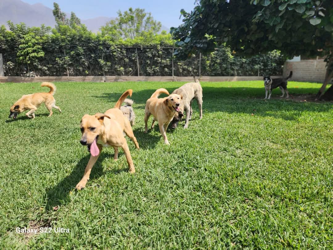 Diversión y Ejercicio